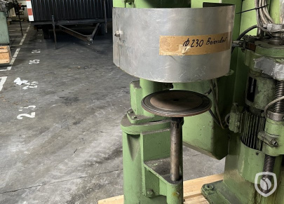 Curler of German origin